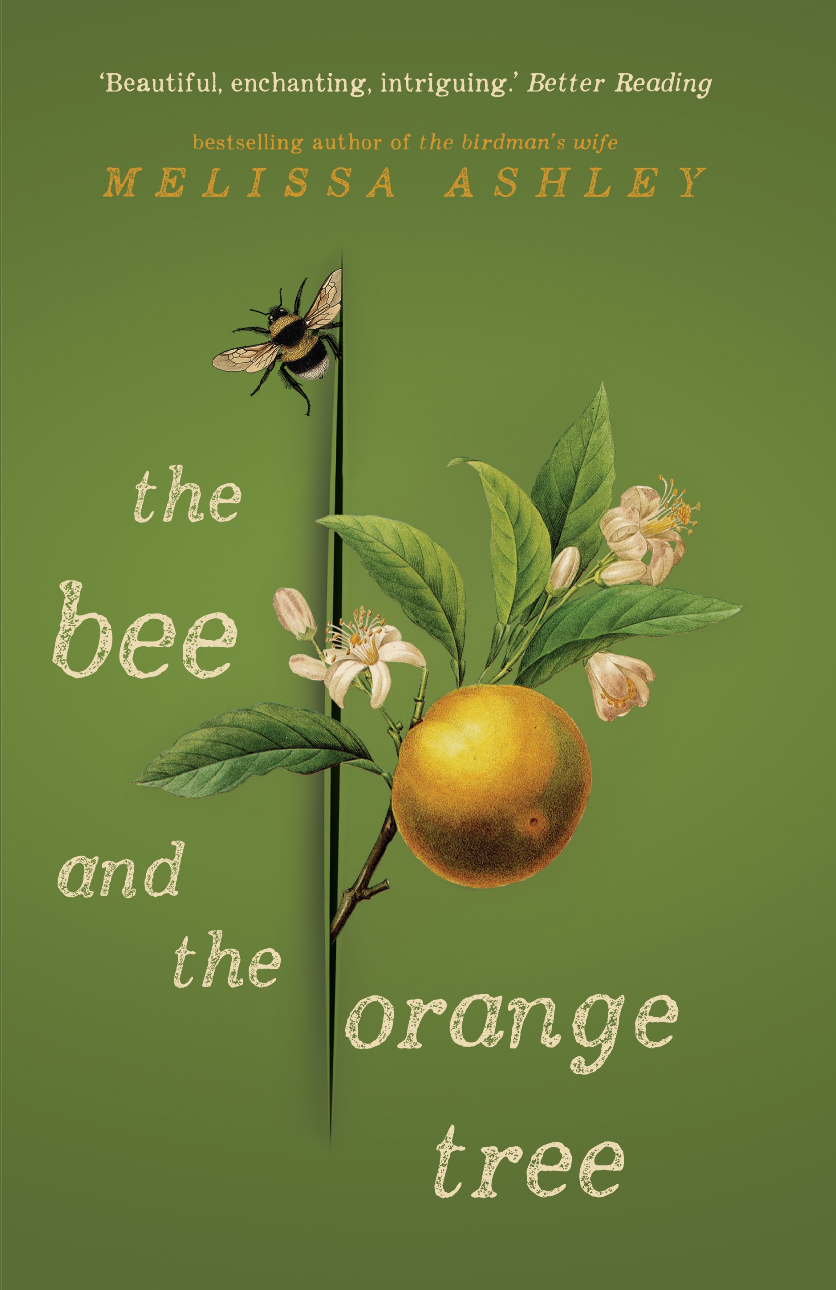 The Bee and the Orange Tree / Melissa Ashley